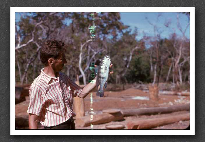 Pond Bocaina Burke:fish