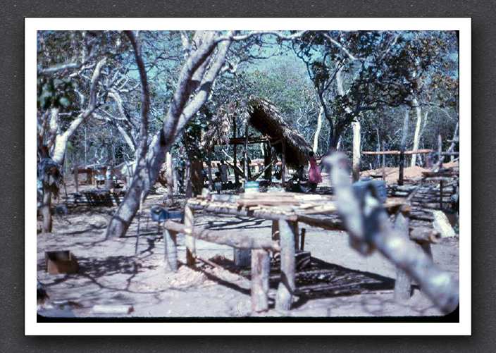 Pond Bocaina Camp Dec 1965