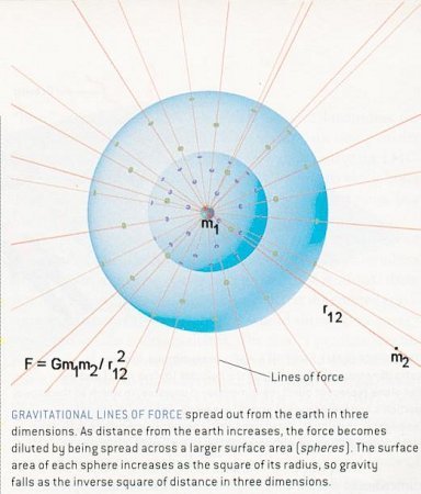 Gravitational Force