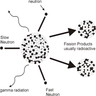 Basic Nuclear Phisics - [Fig.03] Fission