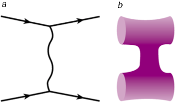 Particles, forces and strings