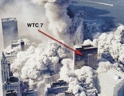 wtc7
