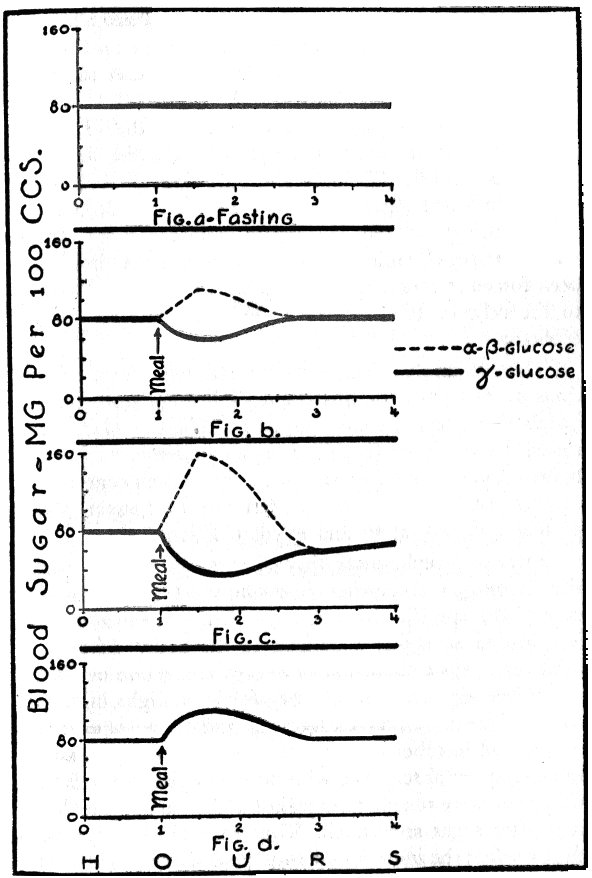 fig14 jpg.jpg (76519 bytes)