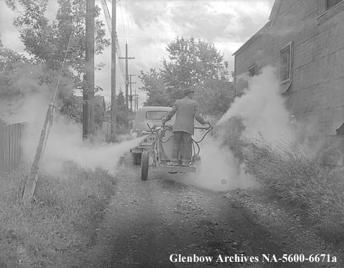 Spraying alleys, Calgary, Alberta. August 1954